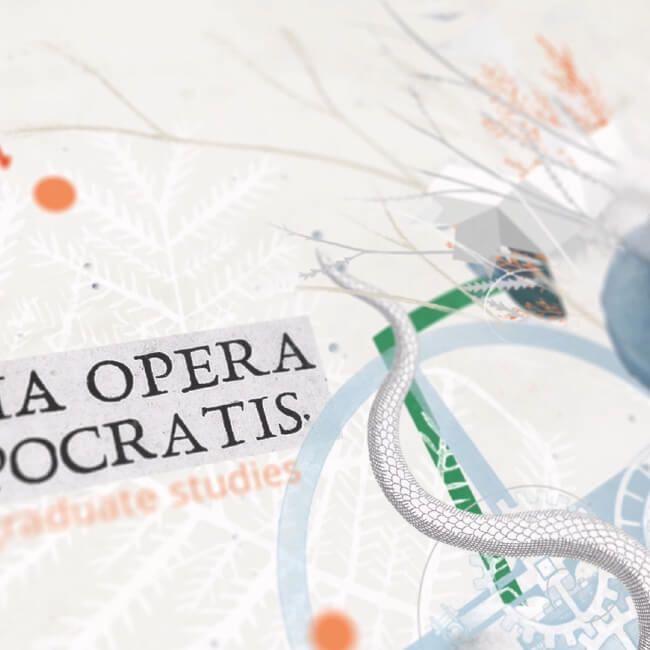 Med Uni Graz Erweiterungsstudium Standbild 0