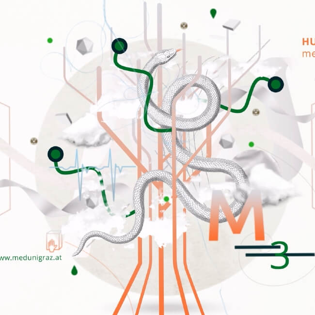 Med Uni Graz Erweiterungsstudium Standbild 2